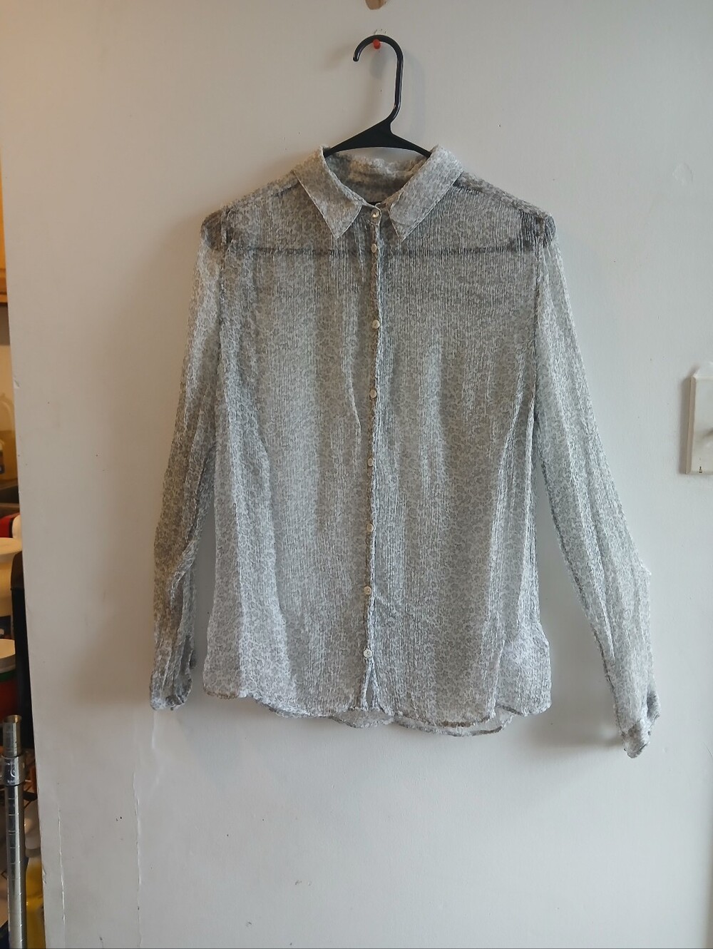 BDG Sheer Silver-Gray Long Sleeve Button Front Blouse